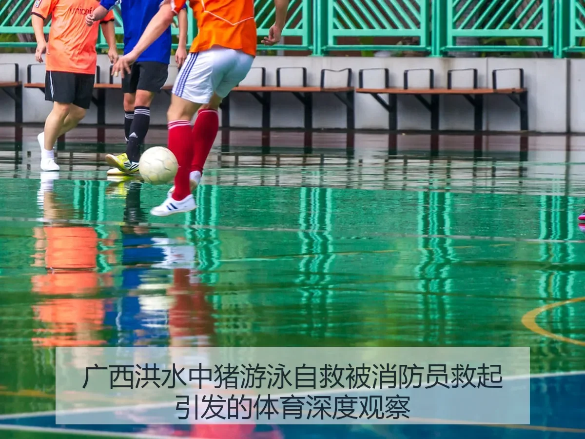 广西洪水中猪游泳自救被消防员救起引发的体育深度观察